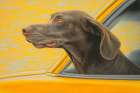 Dog riding with head out car window. (AI Generated) Art Print